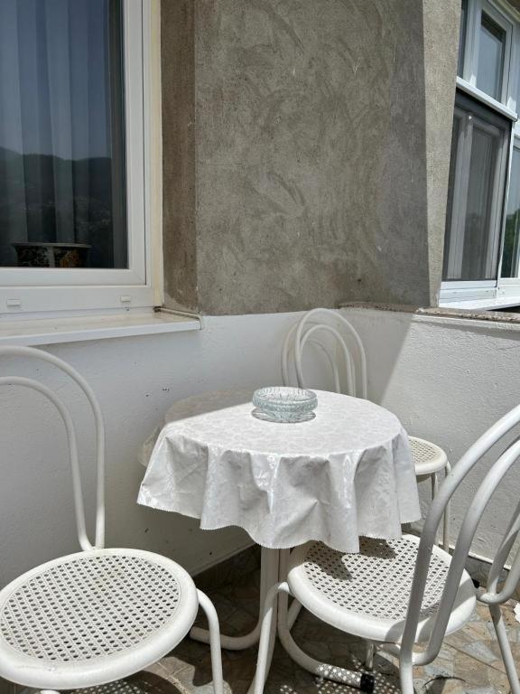 Spacious Parkfront Apartment