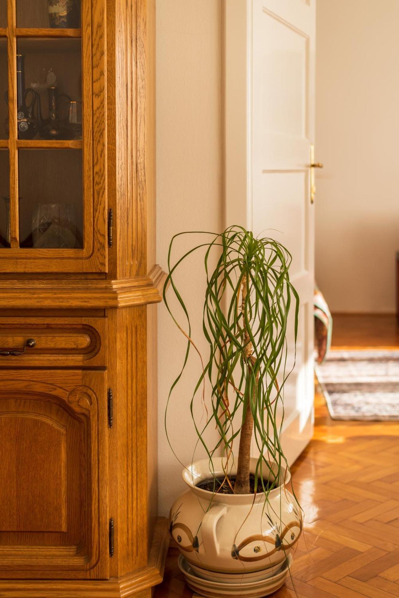 Spacious Parkfront Apartment *